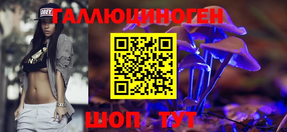 Сокол  Псилоцибиновые грибы Cubensis  Вход с VPN 